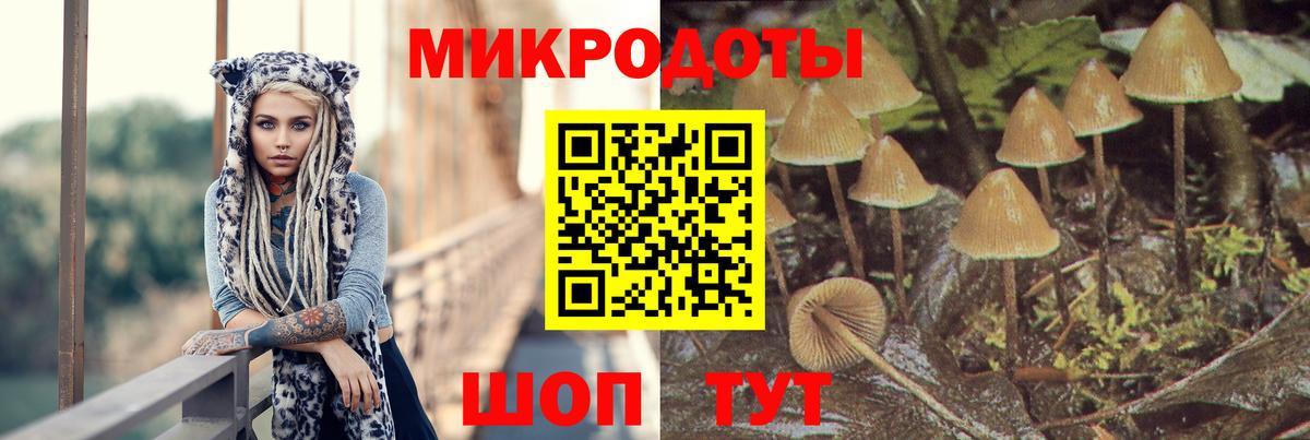 Галлюциногенные грибы Cubensis  Галлюциногенные грибы Psilocybe  Вход с VPN  хочу   Коломна 